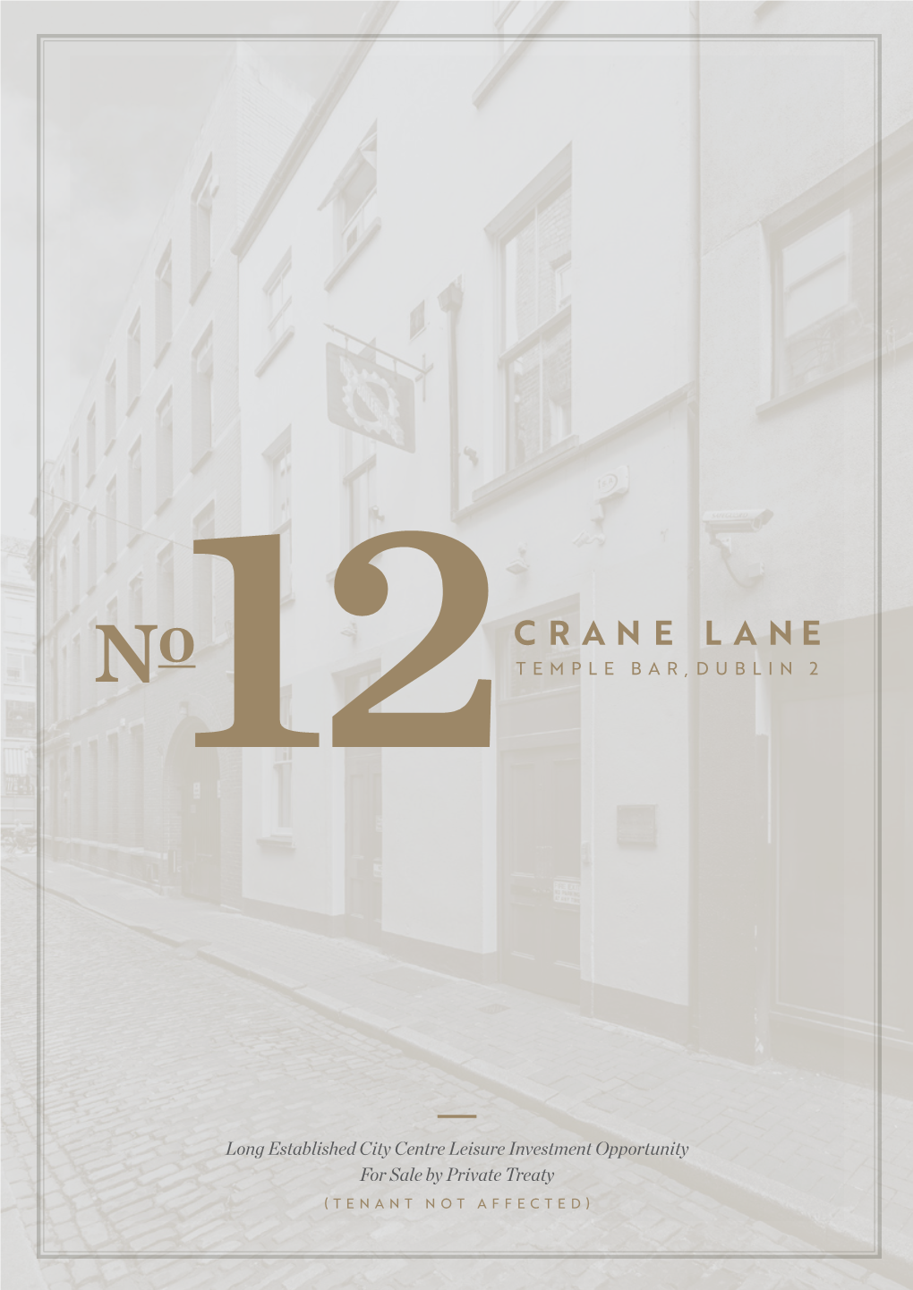 Crane Lane N 12 Temple Bar, Dublin 2