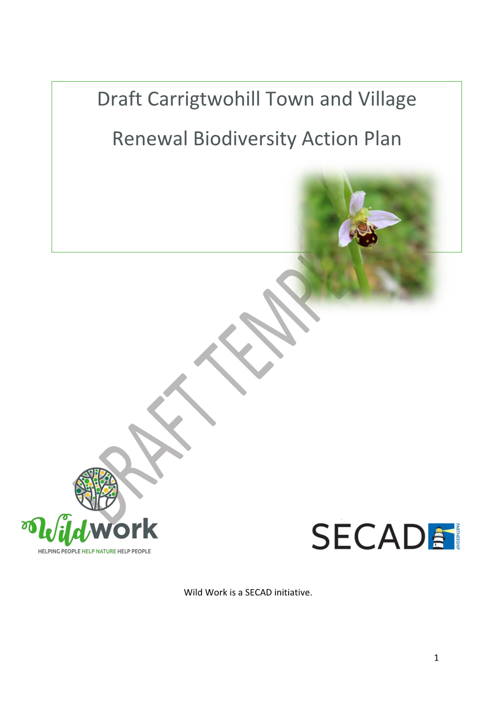 Draft Carrigtwohill Town and Village Renewal Biodiversity Action Plan