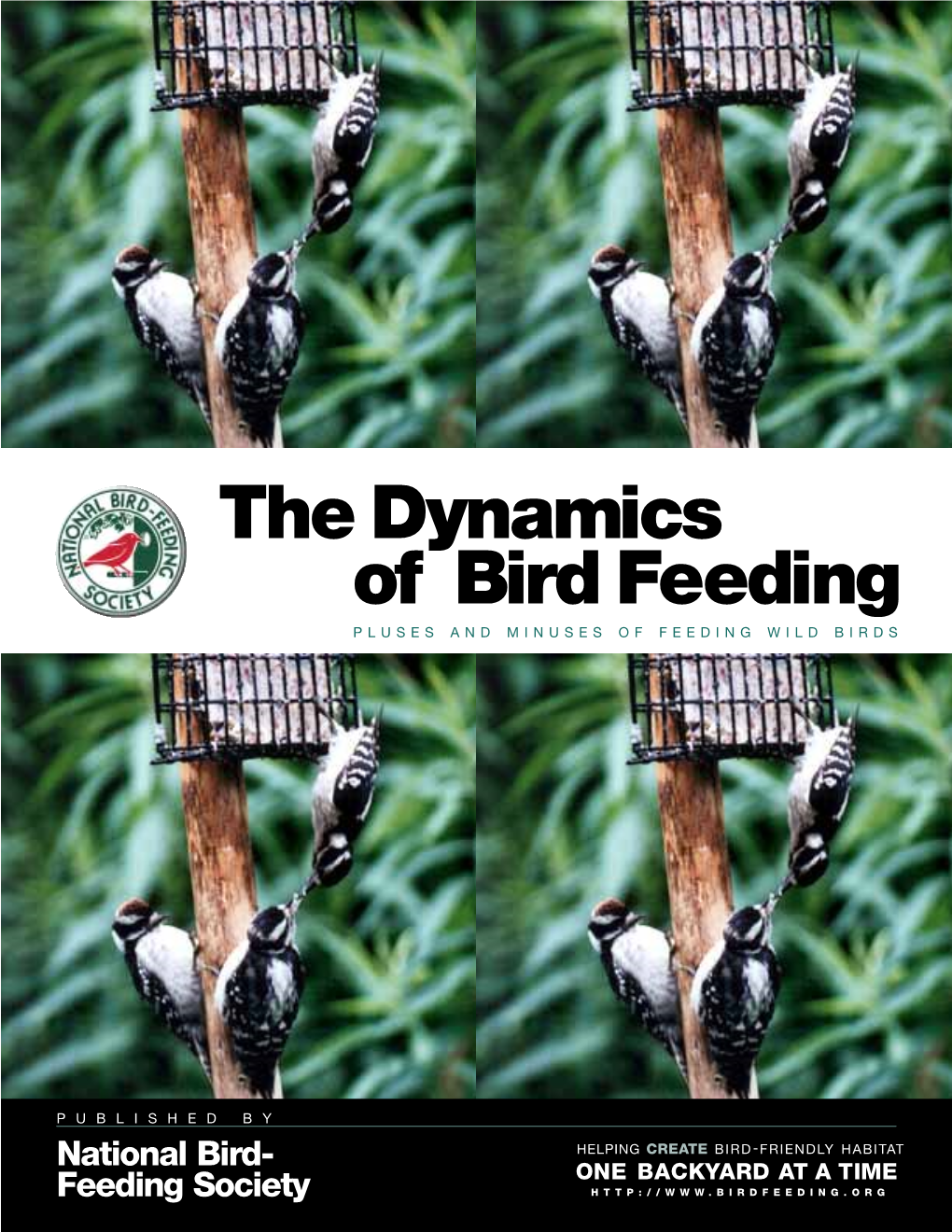 Dynamics of Bird Feeding PLUSES and MINUSES of FEEDING WILD BIRDS
