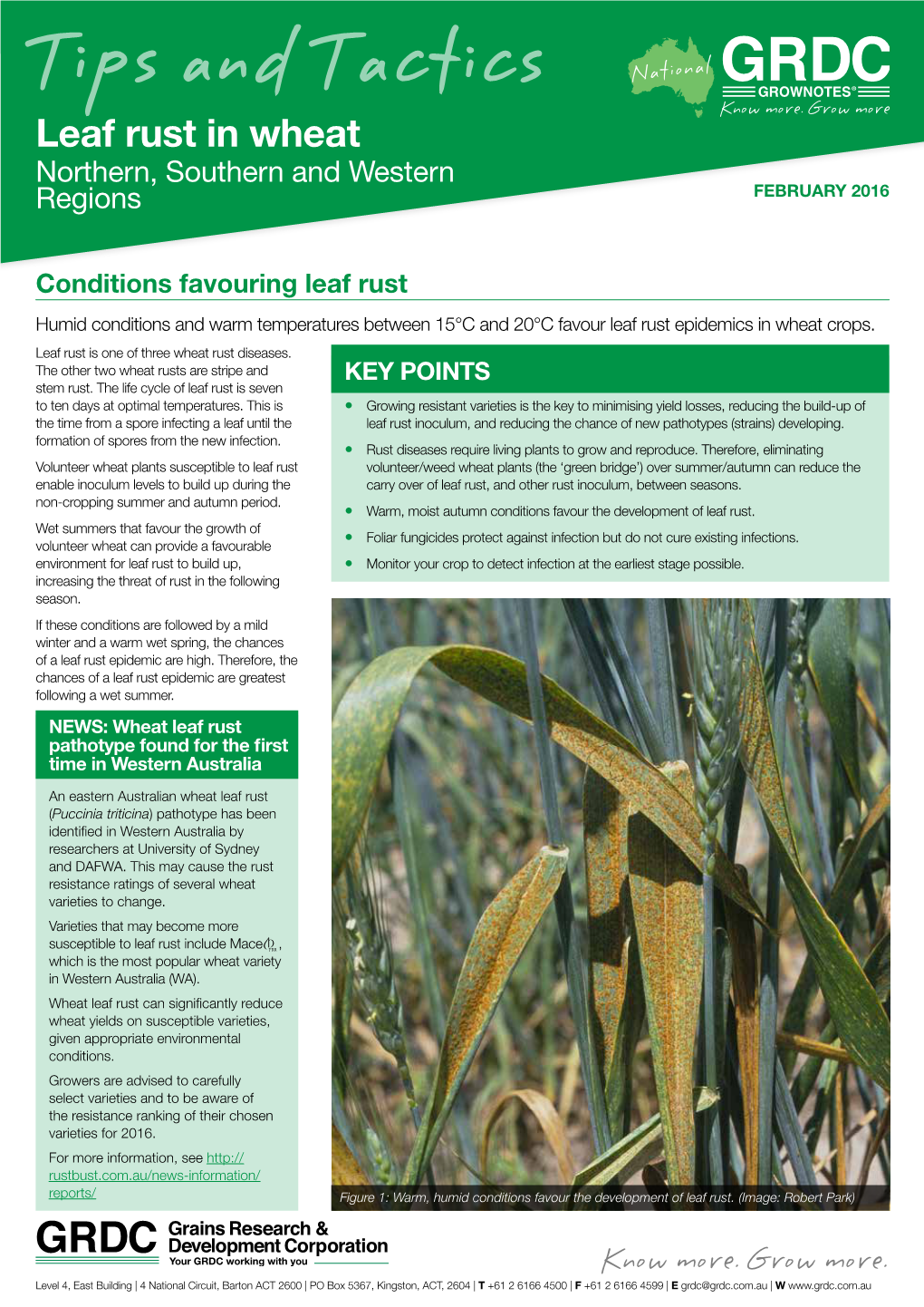 Tips and Tactics ����On�� Leaf Rust in Wheat Northern, Southern and Western Regions FEBRUARY 2016