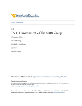 THE H I ENVIRONMENT of the M101 GROUP