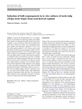 Induction of Bulb Organogenesis in in Vitro Cultures of Tarda Tulip (Tulipa Tarda Stapf.) from Seed-Derived Explants