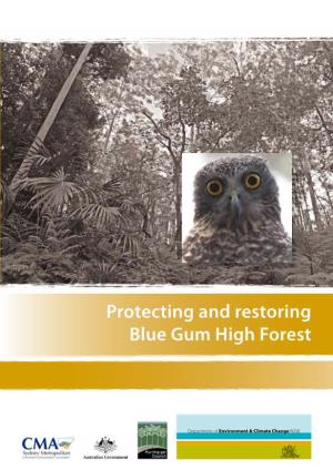 Protecting and Restoring Blue Gum High