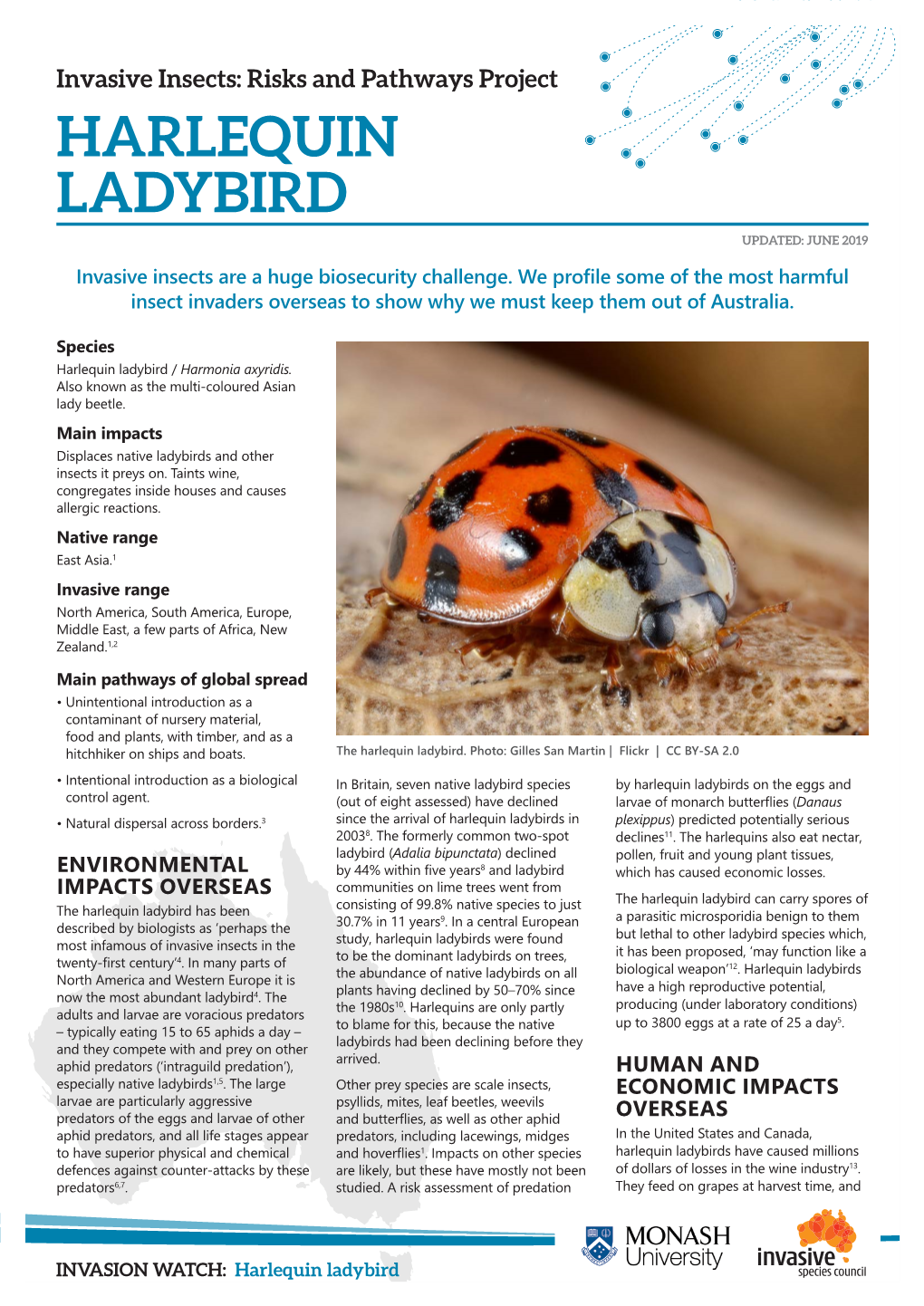 Harlequin Ladybird Updated: June 2019