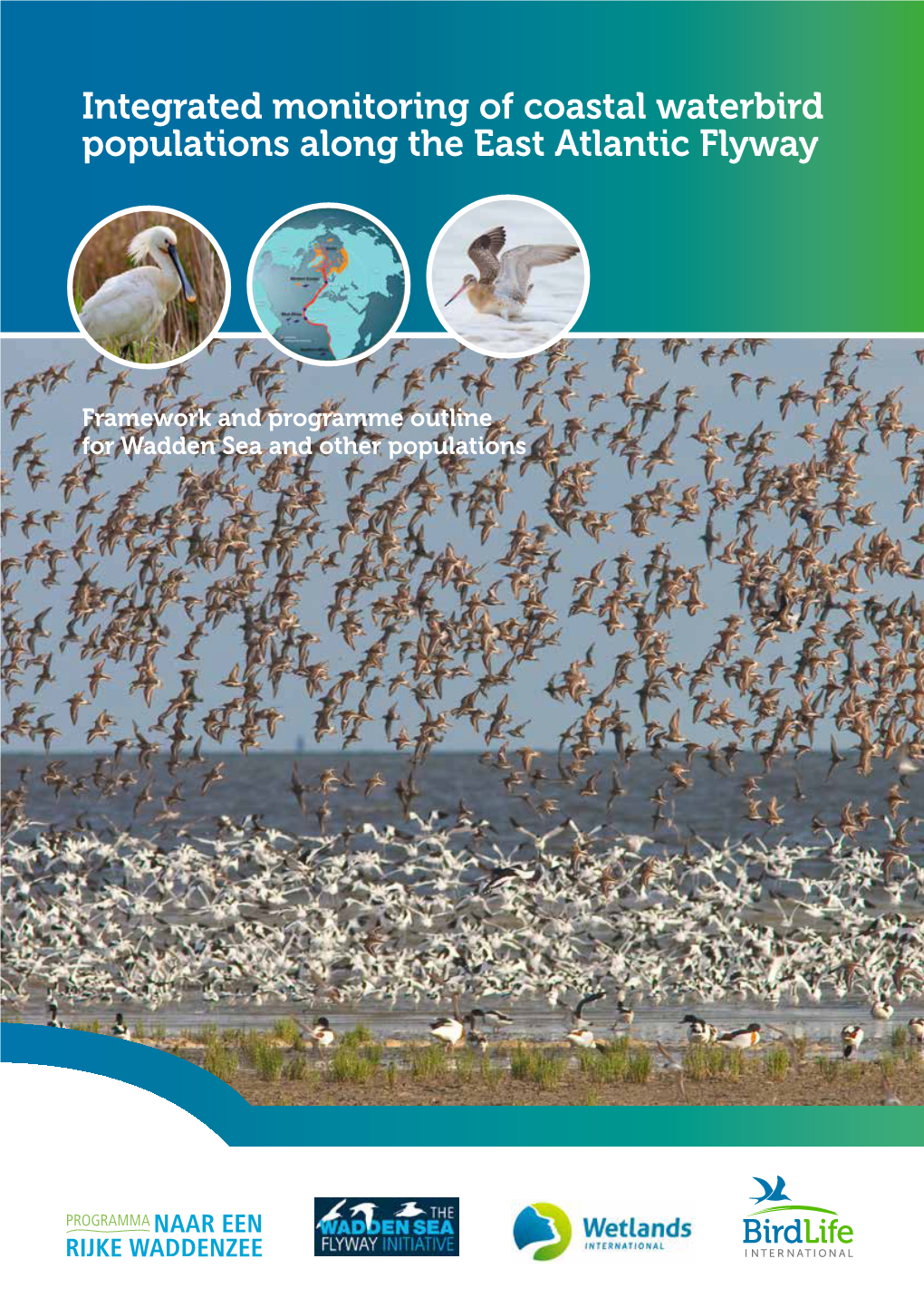 Integrated Monitoring of Coastal Waterbird Populations Along the East Atlantic Flyway