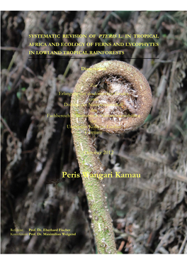 Systematic Revision of Pteris and Ecology of Ferns in Lowland Tropical