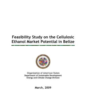 Feasibility Study on the Cellulosic Ethanol Market Potential in Belize
