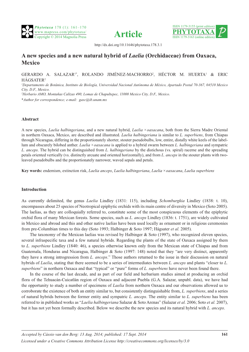 A New Species and a New Natural Hybrid of Laelia (Orchidaceae) from Oaxaca, Mexico