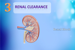 L3-Renal Clearance [PDF]