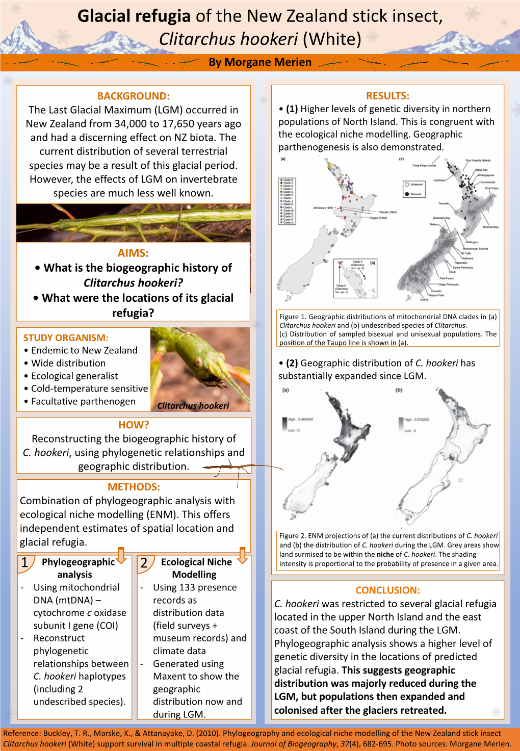 Insect Biogeography Poster