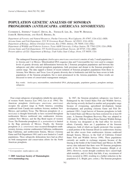 Population Genetic Analysis of Sonoran Pronghorn (Antilocapra Americana Sonoriensis)