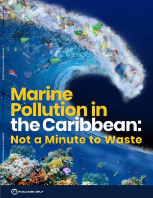 Marine Pollution in the Caribbean: Not a Minute to Waste