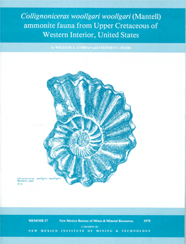 Collignoniceras Woollgari Woollgari (Mantell) Ammonite Fauna from Upper Cretaceous of Western Interior, United States