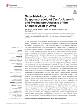 Osteohistology of the Scapulocoracoid of Confuciusornis and Preliminary Analysis of the Shoulder Joint in Aves