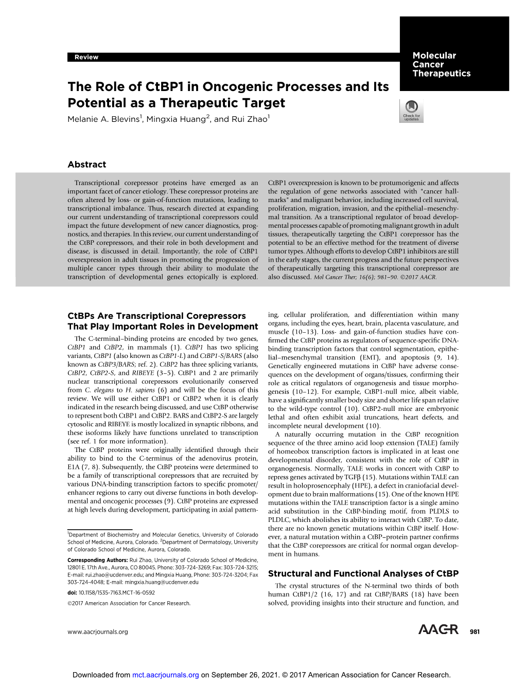 The Role of Ctbp1 in Oncogenic Processes and Its Potential As a Therapeutic Target Melanie A