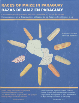 Races of Maize in Paraguay