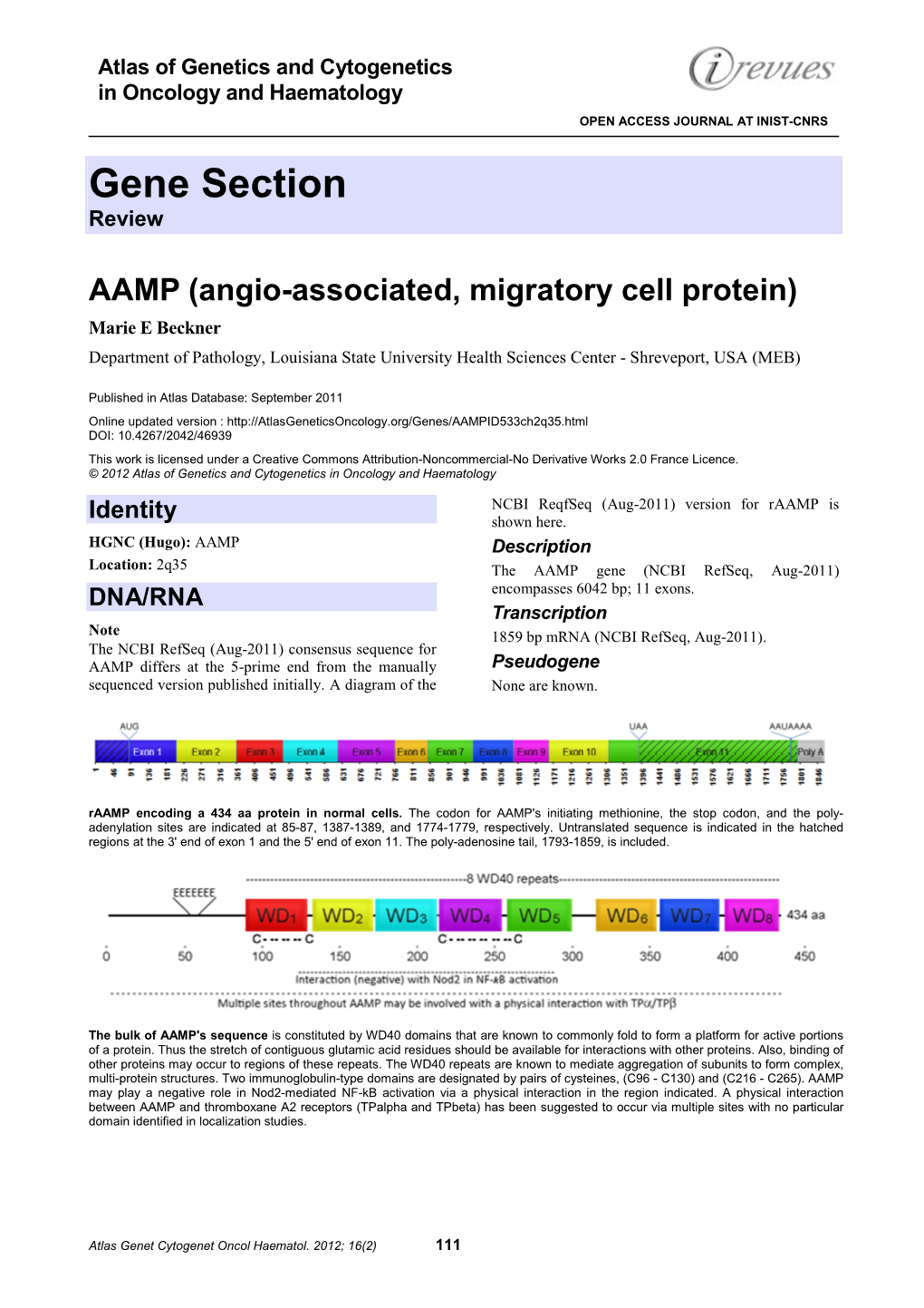 Gene Section Review