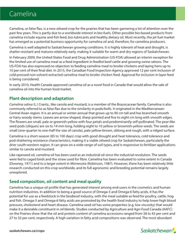 Camelina Fact Sheet