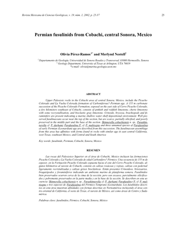 Permian Fusulinids from Cobachi, Central Sonora, Mexico