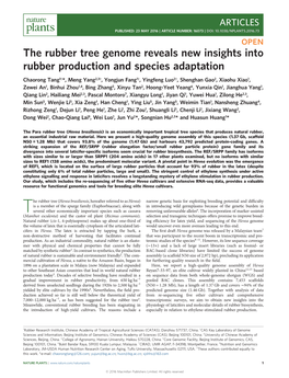 The Rubber Tree Genome Reveals New Insights Into Rubber Production And