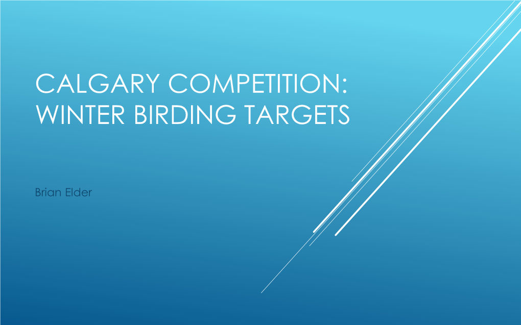 Calgary Competition Winter Birding