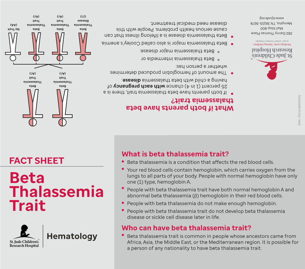 Fact Sheet: Beta Thalassemia Trait