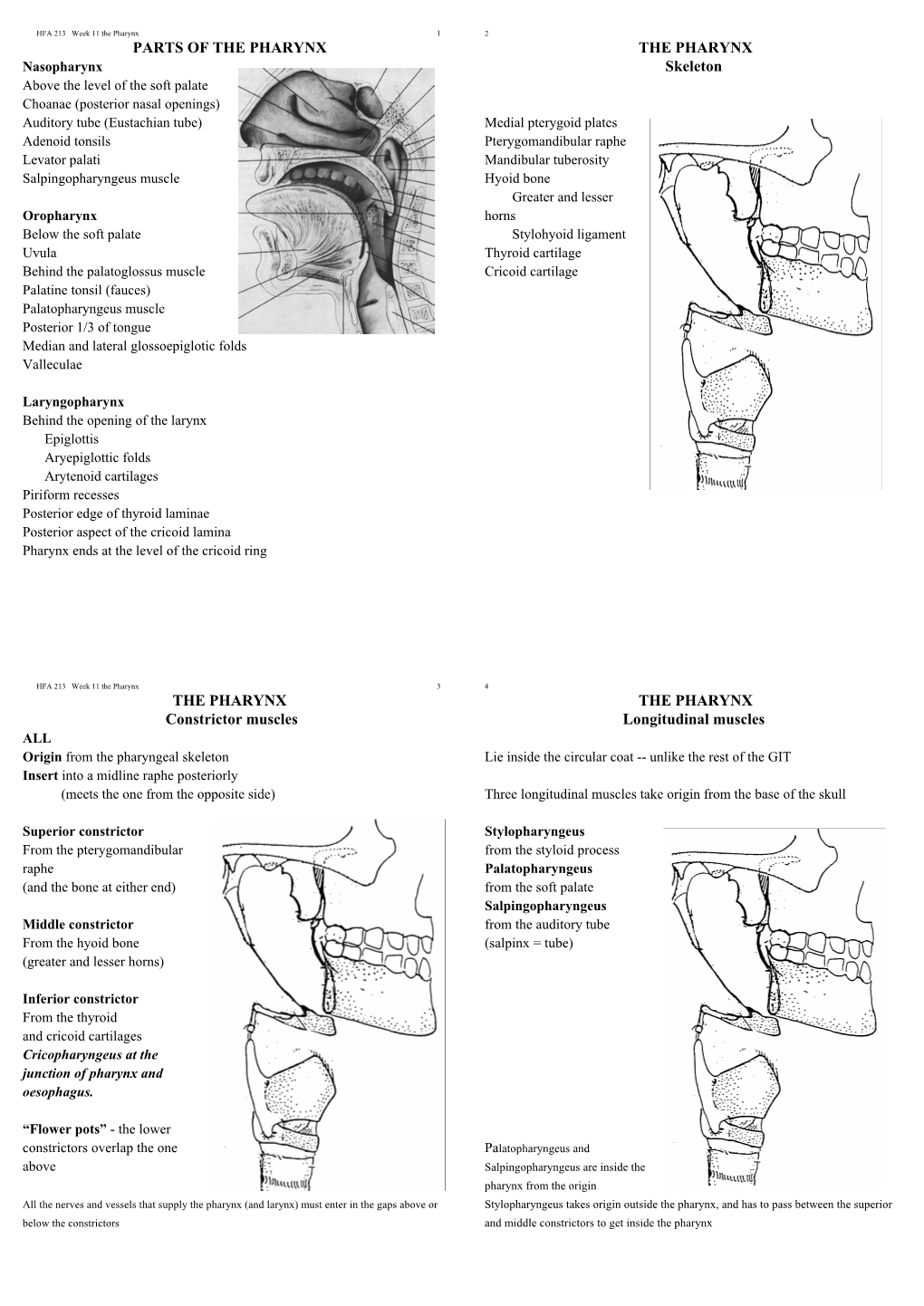 PARTS of the PHARYNX the PHARYNX Skeleton THE