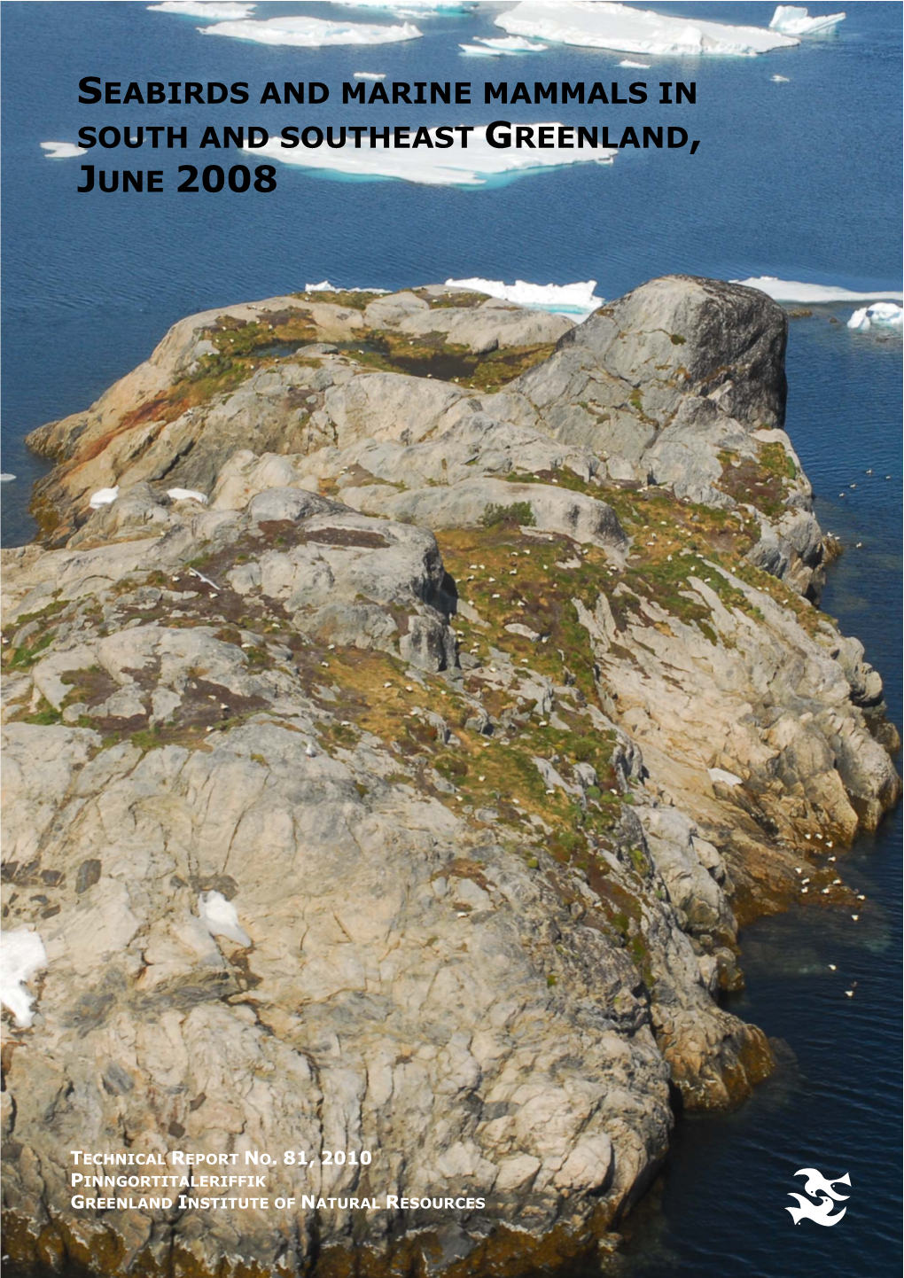 Seabirds and Marine Mammals in South and Southeast Greenland, June 2008