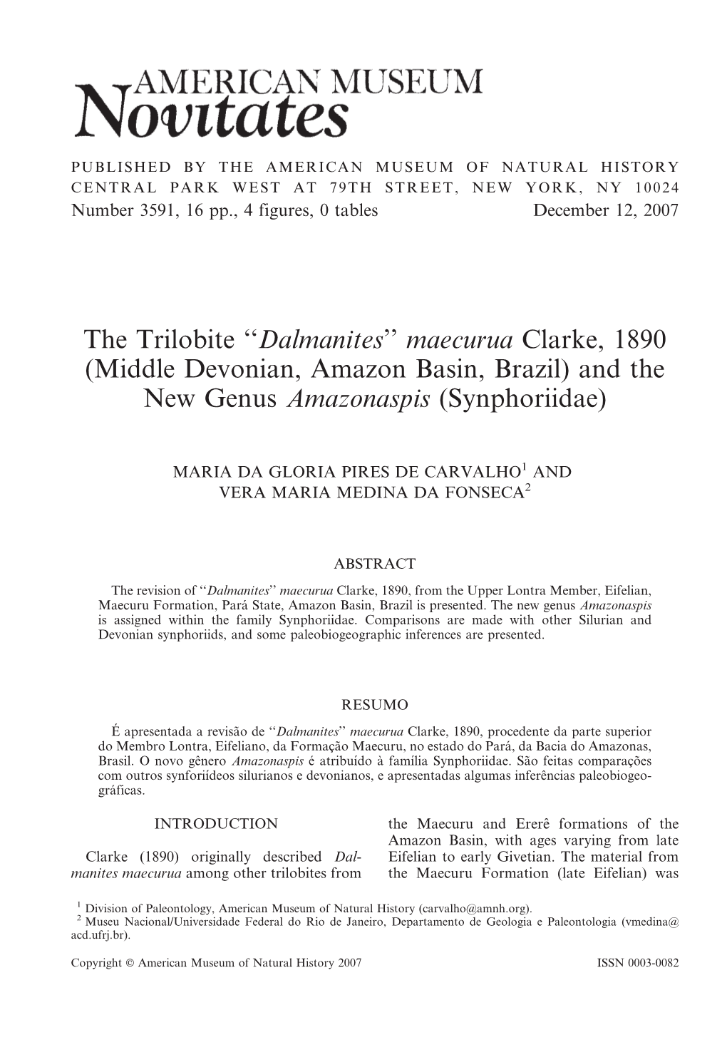 Dalmanites'' Maecurua Clarke, 1890 (Middle Devonian, Amazon Basin