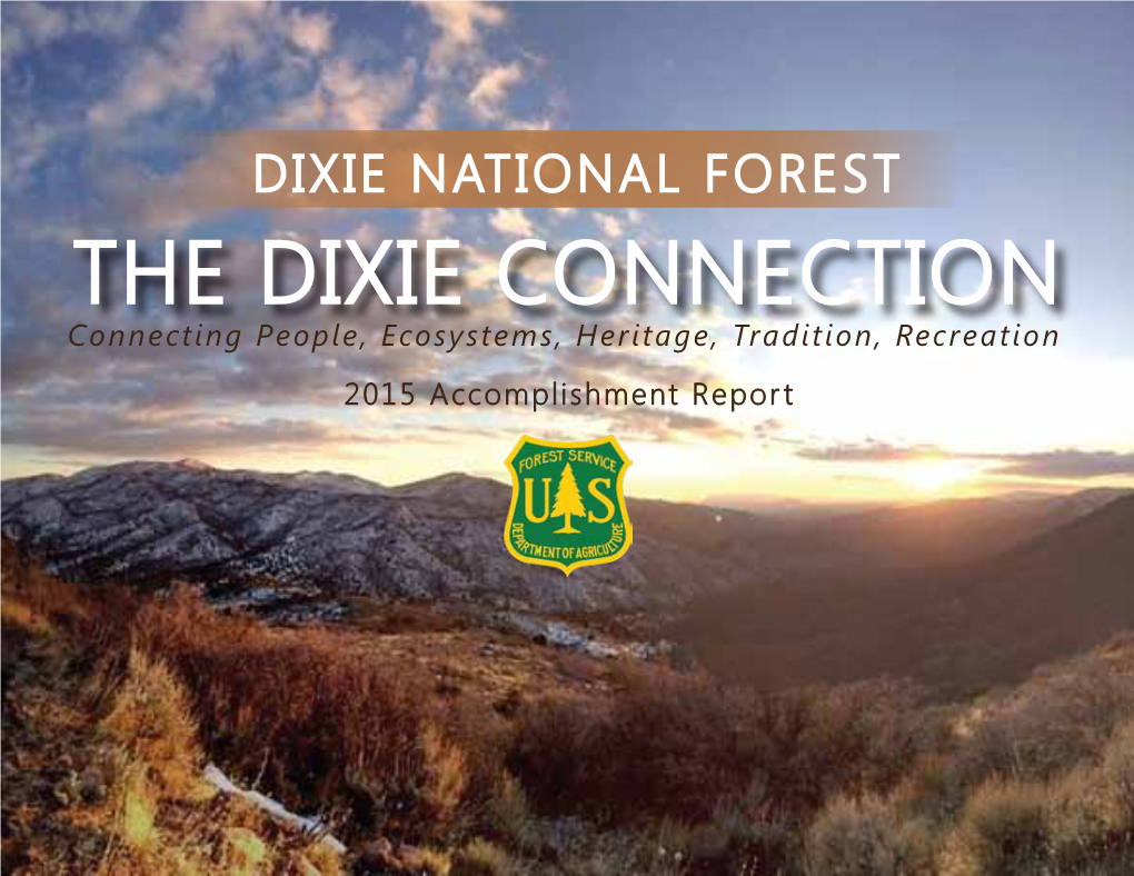 The Dixie Connection