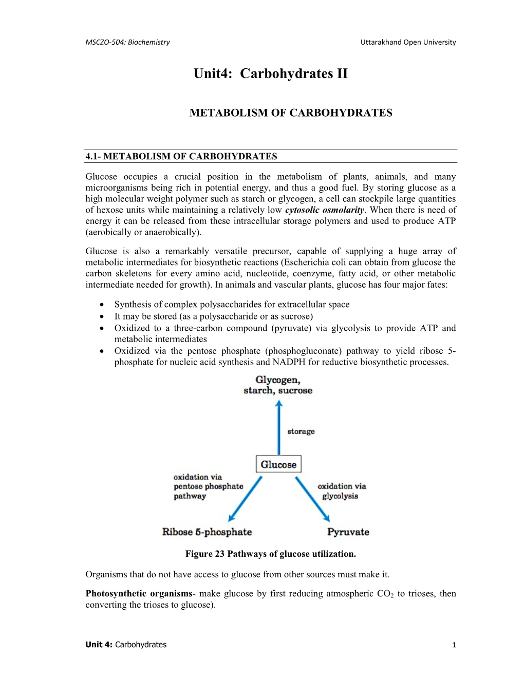 Carbohydrates II