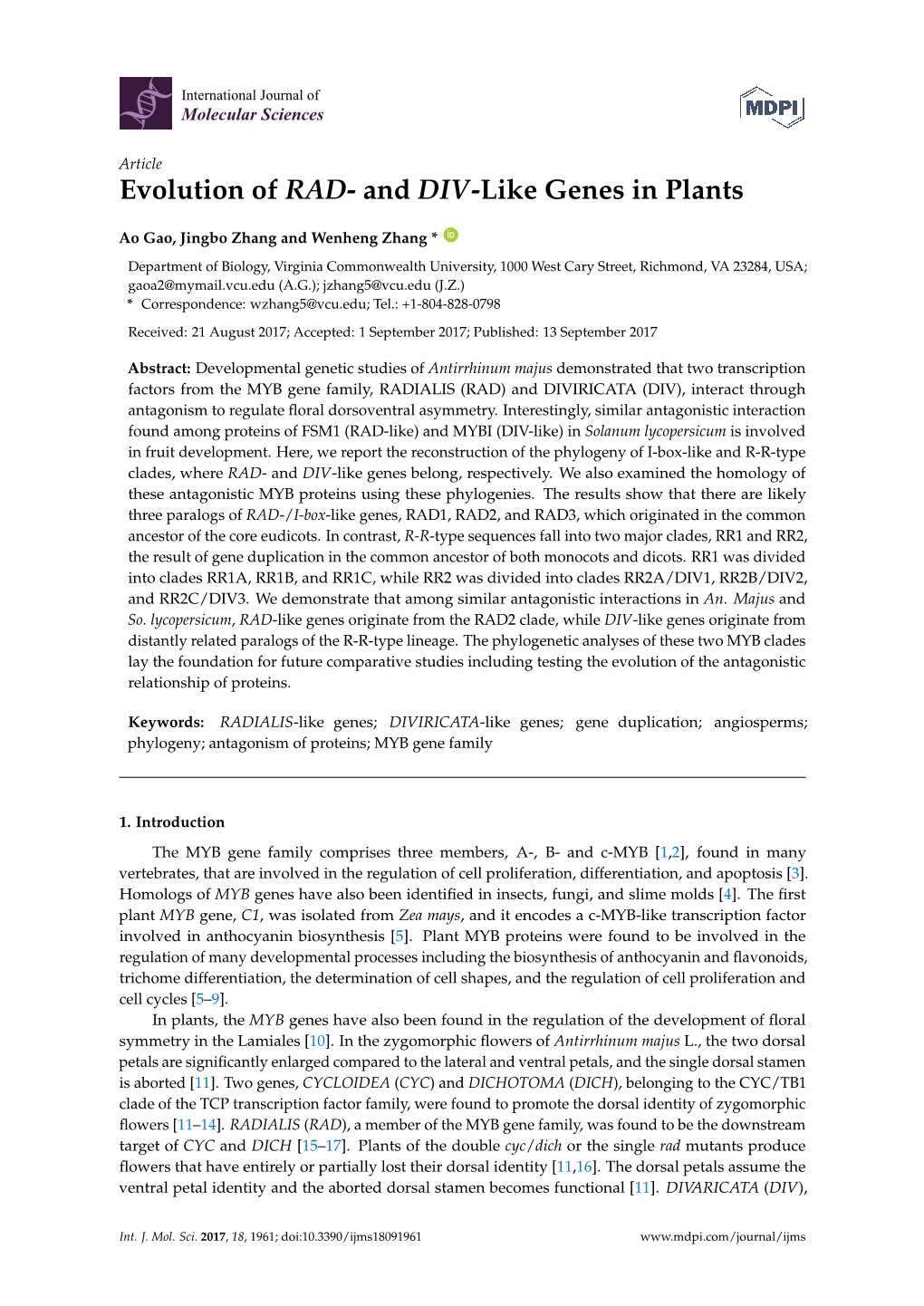 Evolution of RAD-And DIV-Like Genes in Plants