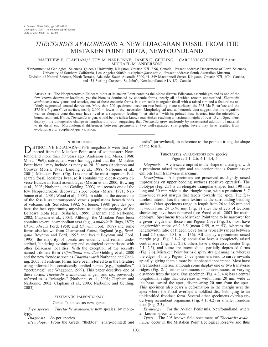 Thectardis Avalonensis: a New Ediacaran Fossil From