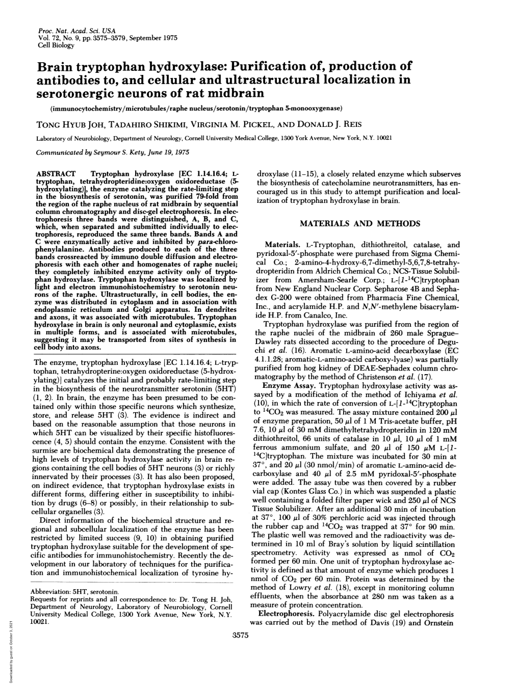 Brain Tryptophan Hydroxylase