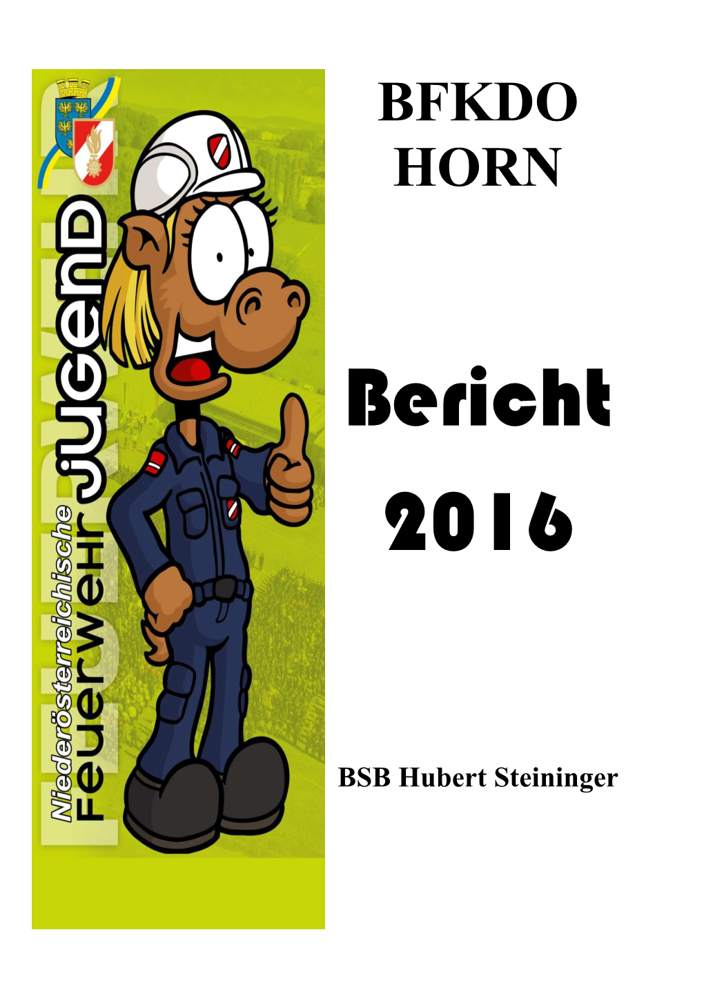 Jahresbericht 2016 Des Bezirkes Horn