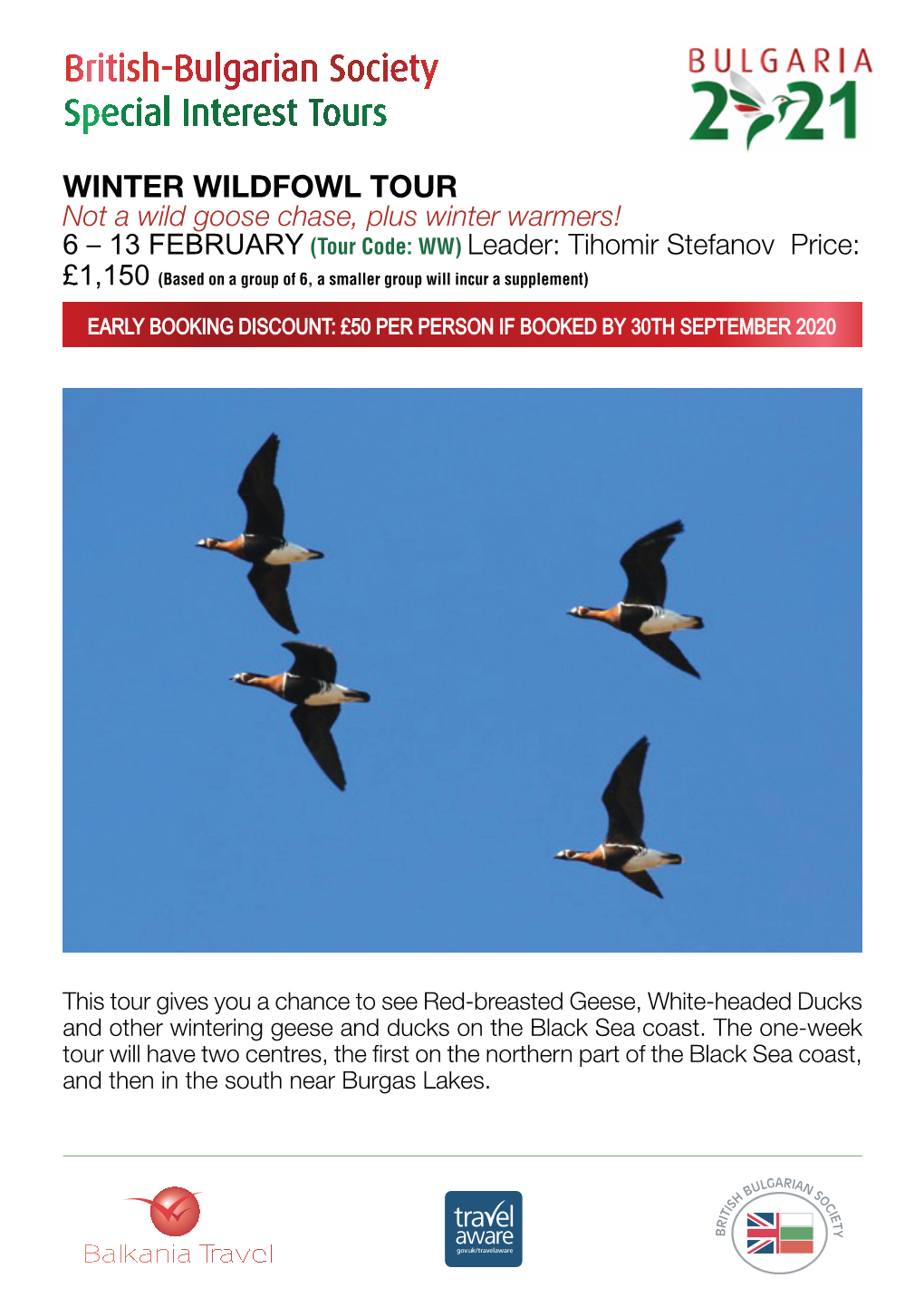 Winter Wildfowl Tour