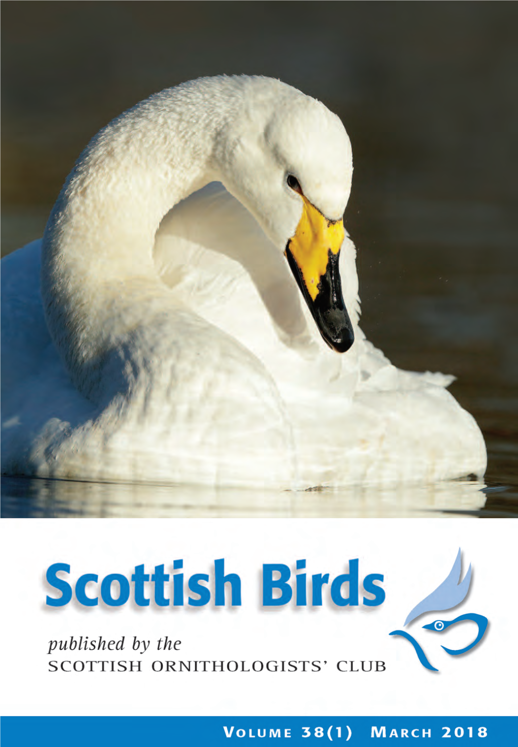 Scottish Birds 38:1 (2018)