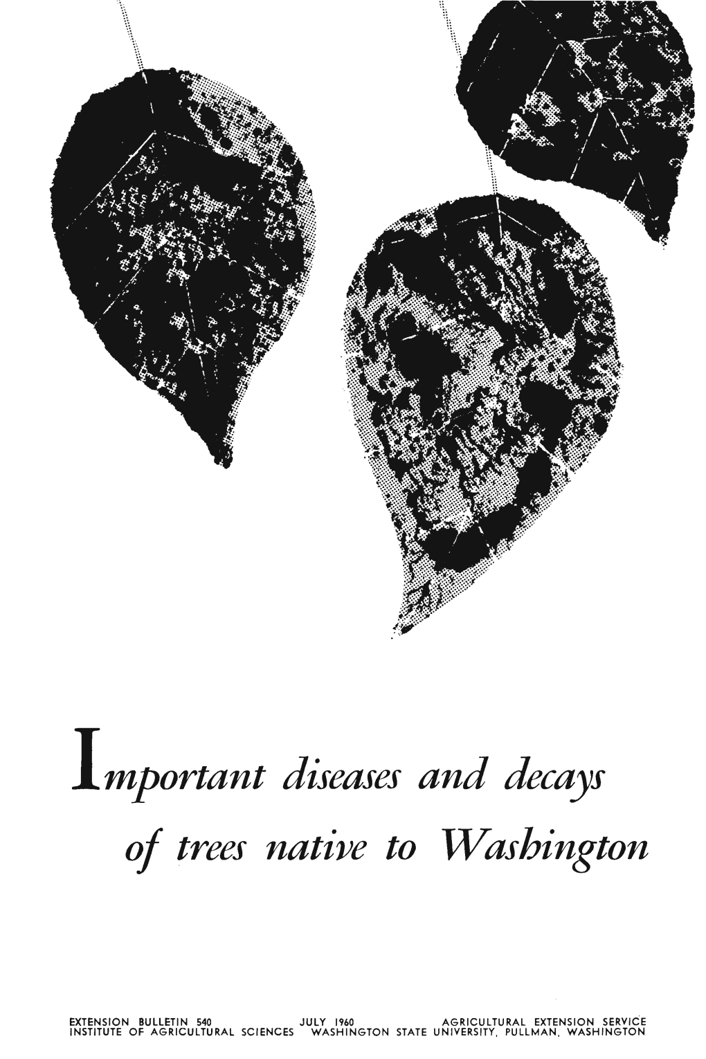 Important Diseases and Decays of Trees Native to Washington