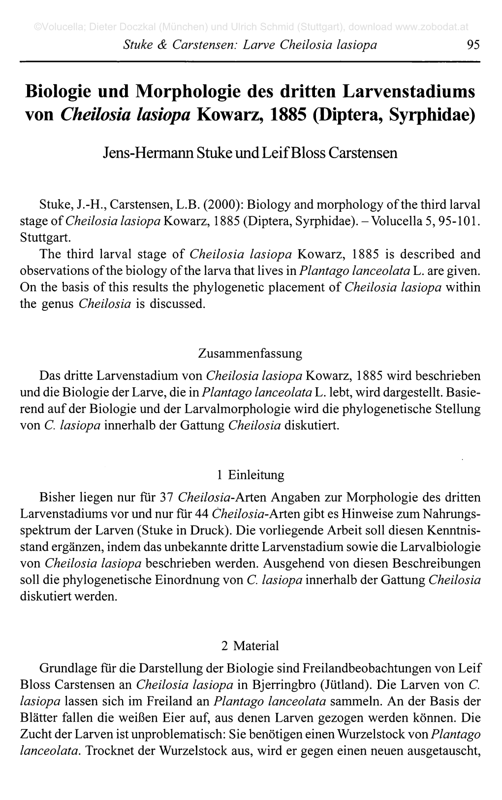 Biologie Und Morphologie Des Dritten Larvenstadiums Von Cheilosia Lasiopa Kowarz, 1885 (Diptera, Syrphidae)