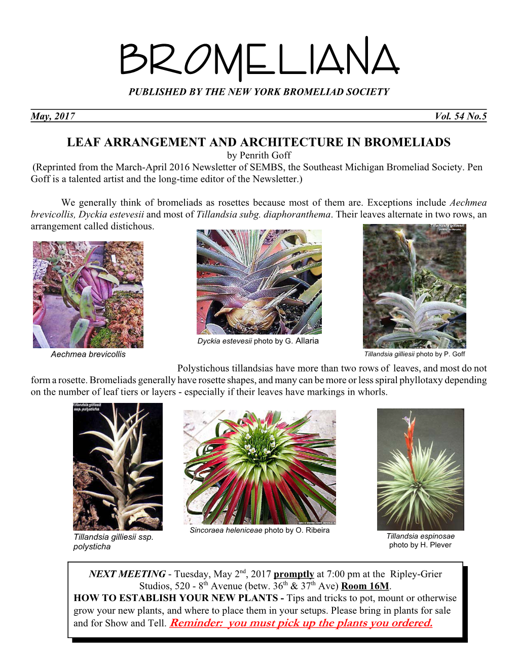 Bromeli Ana Published by the New York Bromeliad Society