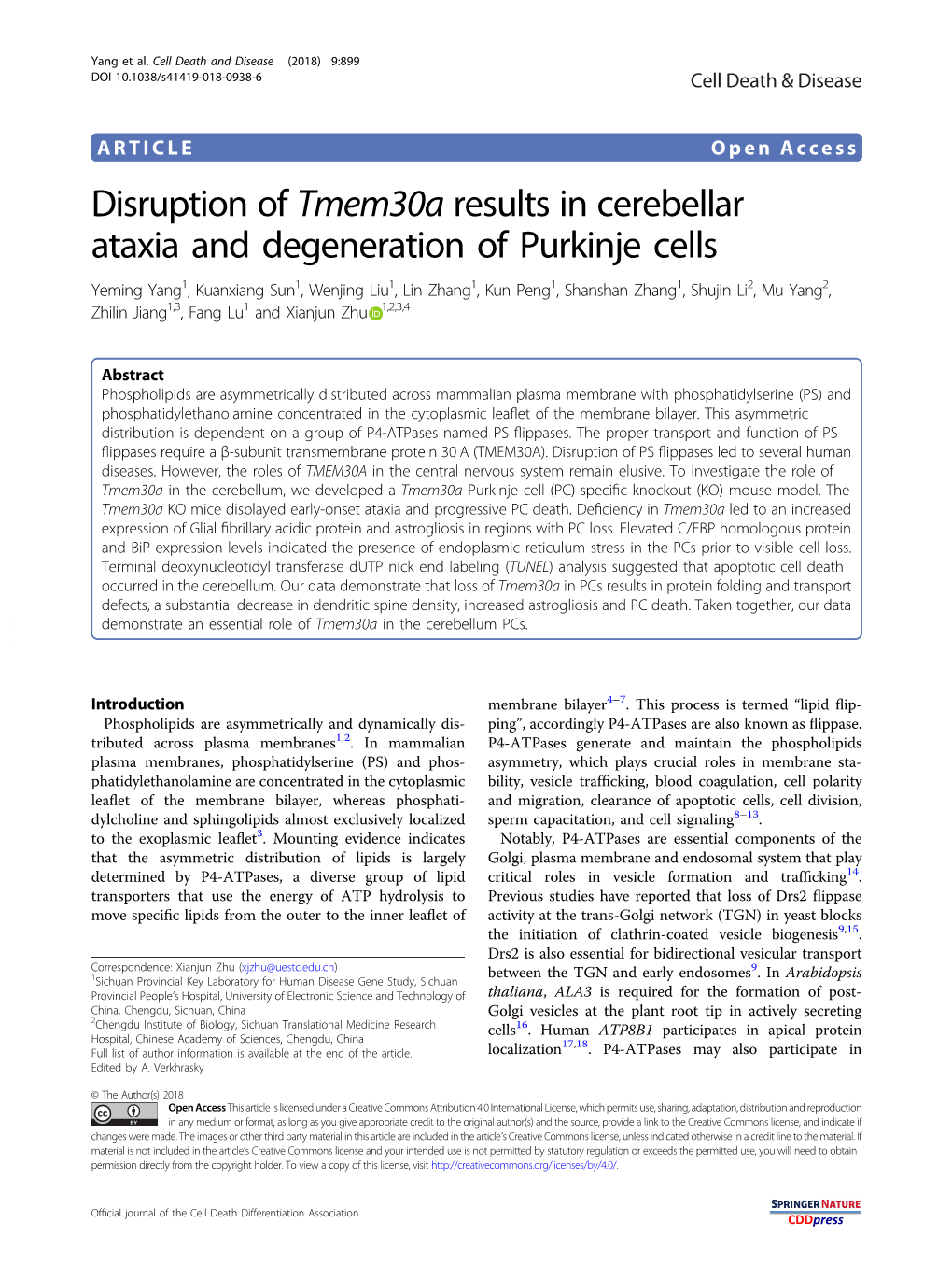 Disruption of Tmem30a Results in Cerebellar Ataxia and Degeneration