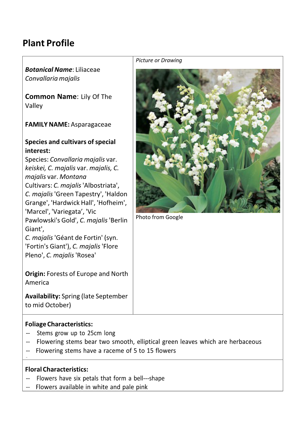 Lily of the Valley.Pdf