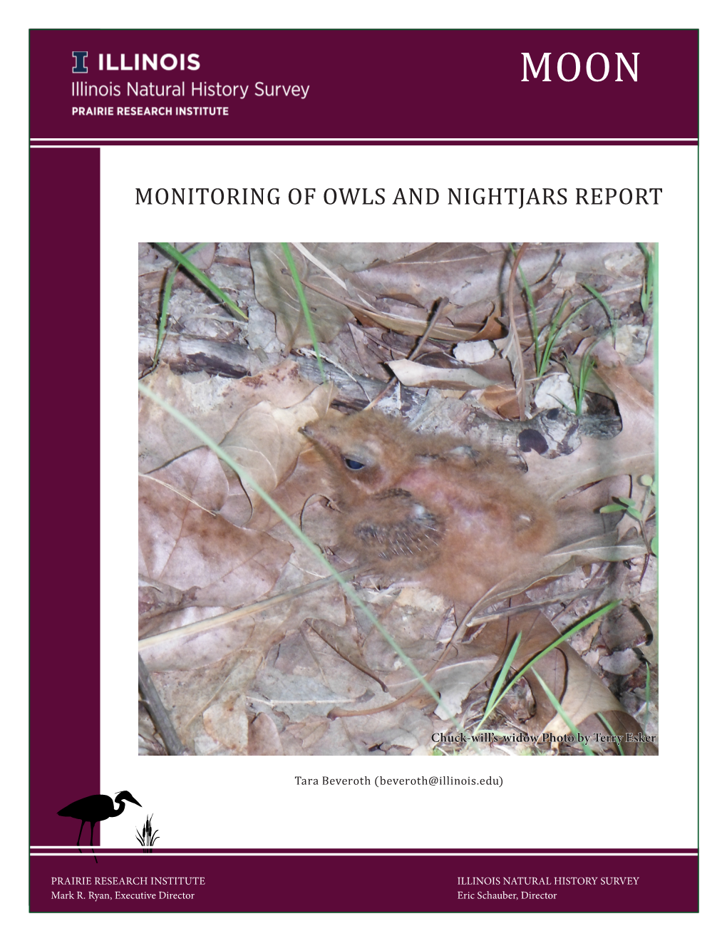 Monitoring of Owls and Nightjars Report