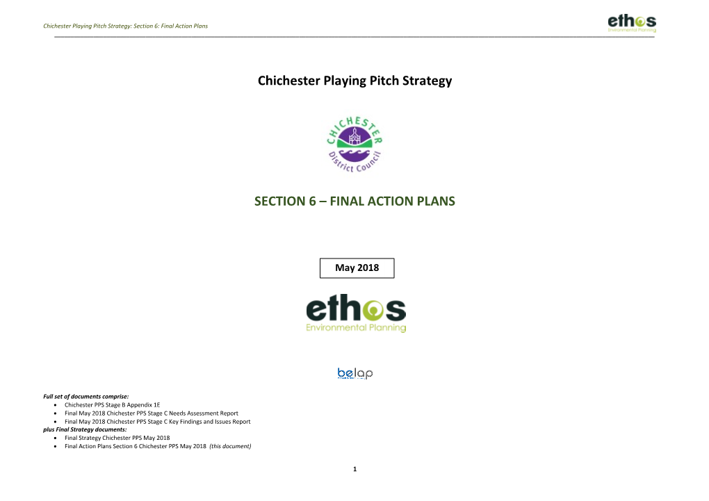 Playing Pitch Strategy: Section 6: Final Action Plans ______