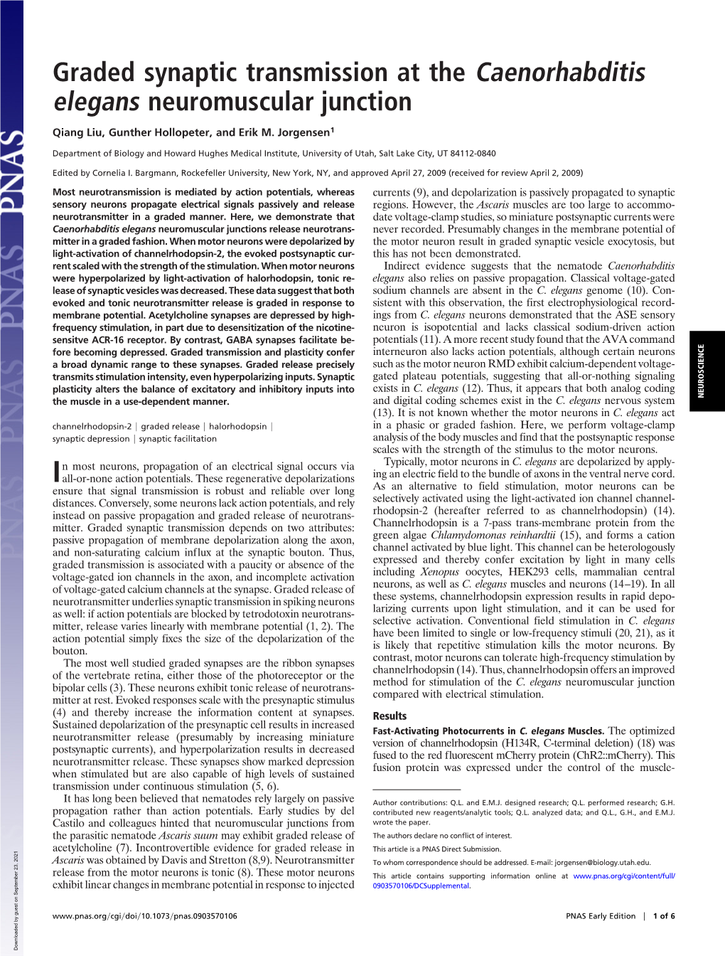 Graded Synaptic Transmission at the Caenorhabditis Elegans Neuromuscular Junction