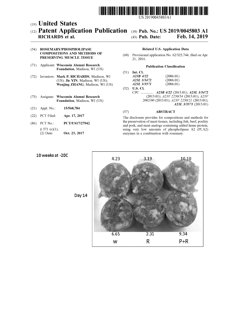 C19) United States C12) Patent Application Publication C10) Pub