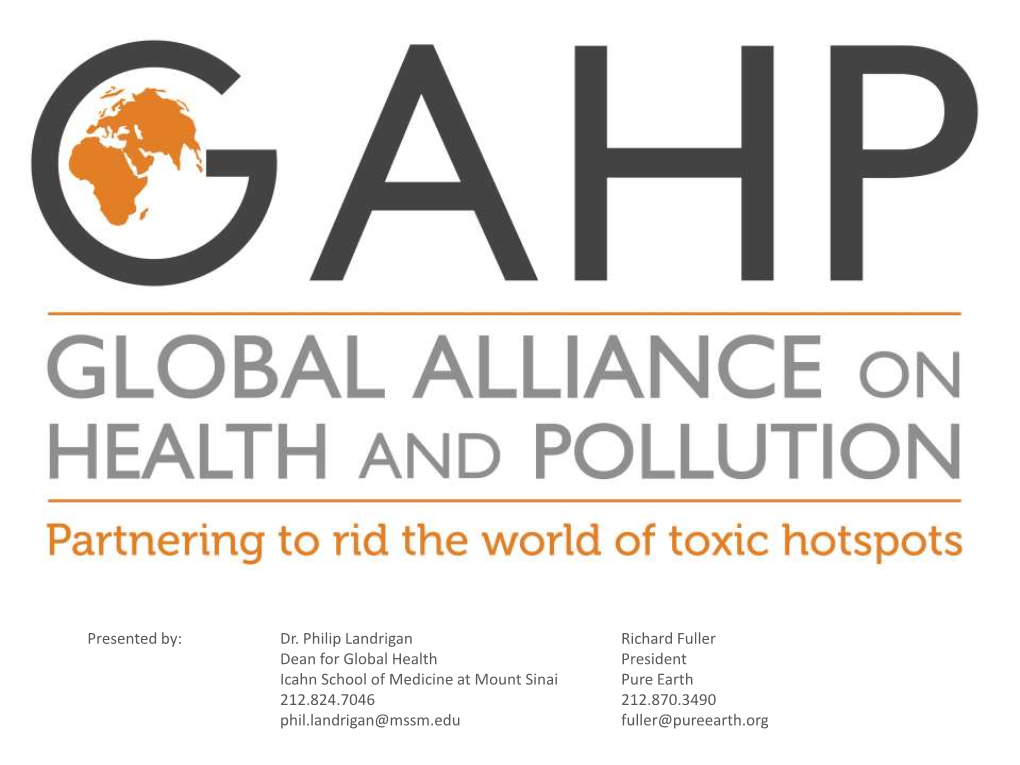 Global Alliance on Health and Pollution