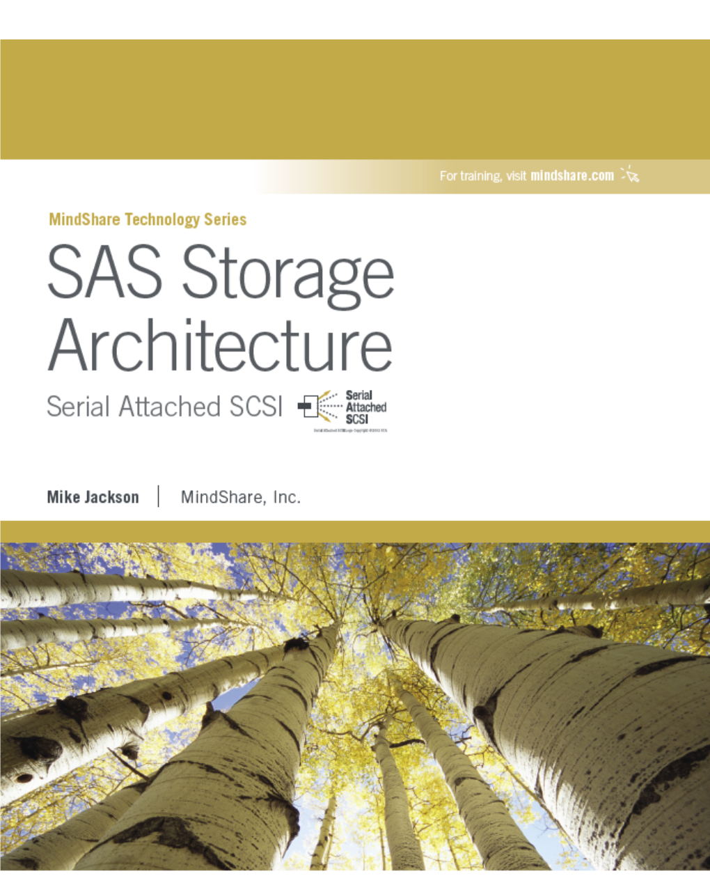 SAS Storage Architecture