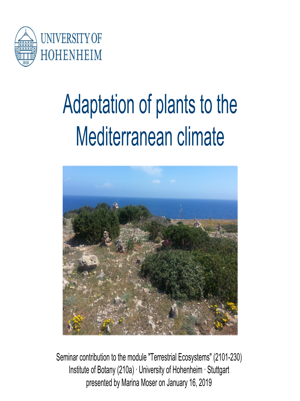 Adaptation of Plants to the Mediterranean Climate