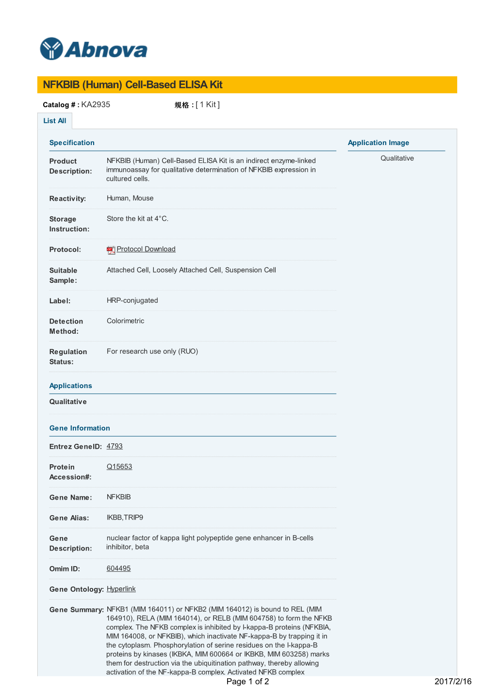 NFKBIB (Human) Cell-Based ELISA Kit